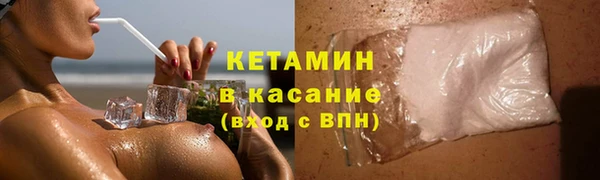 прущие грибы Новодвинск