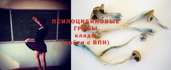 спиды Нефтекумск