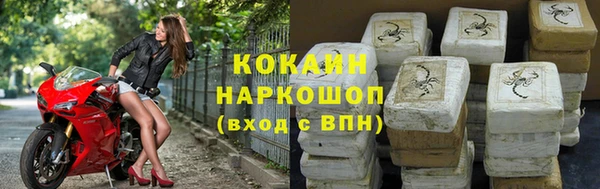 стафф Новозыбков