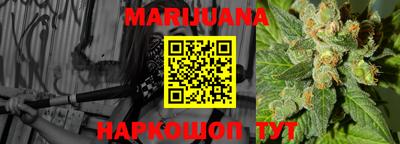 твердый Бийск