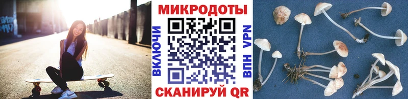 где купить наркоту  мориарти состав  Псилоцибиновые грибы мухоморы  Боровичи 