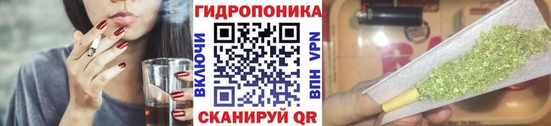 Бошки марихуана Bruce Banner  omg ссылки  Боровичи 